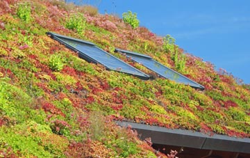 Higher Disley living roof systems